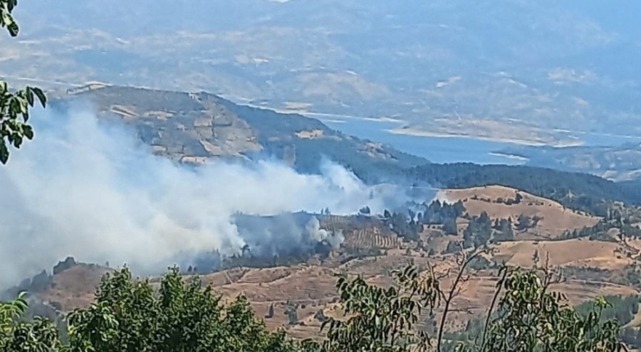 Kahramanmaraş'ta orman yangını