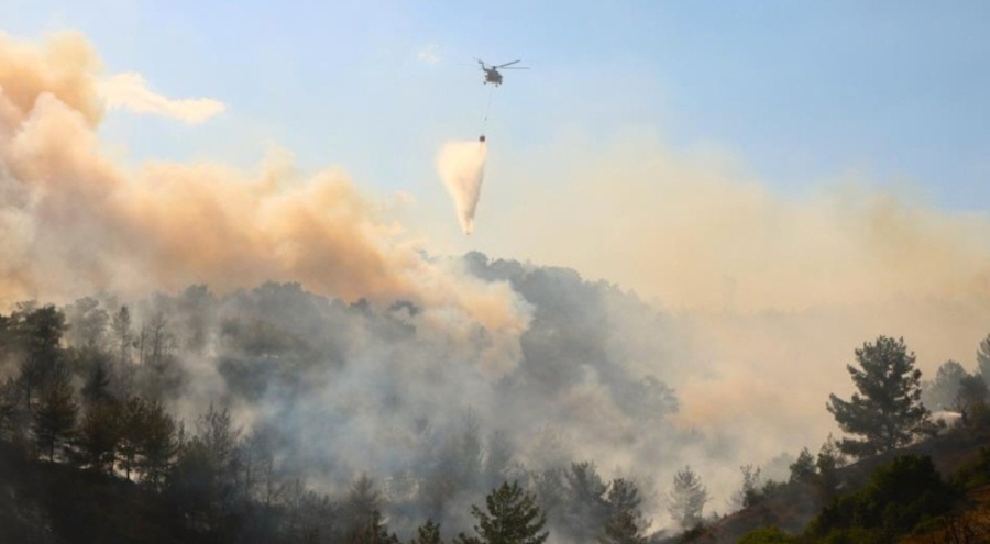 Denizli'deki orman yangınında 8 hektar alan kül oldu