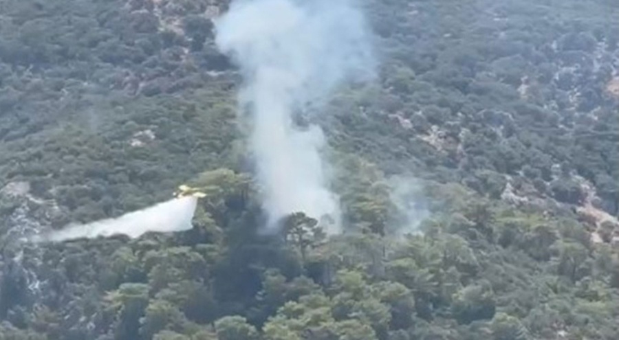 Muğla'da orman yangını