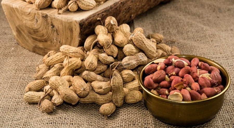 Yer fıstığı alerjisi olan bebekler için yeni tedavi programı