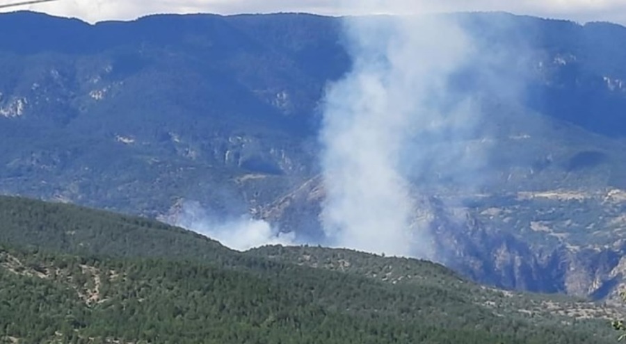 Çankırı'da orman yangınında 35 dekar alan zarar gördü