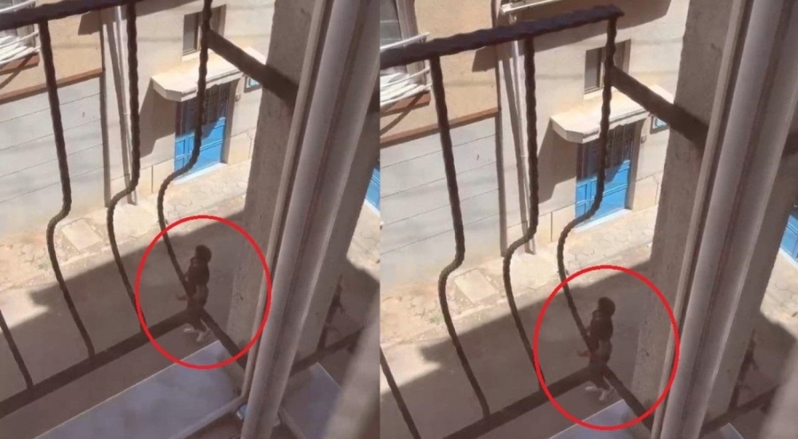 Köpeğine şiddet uyguladı! Yakalandı