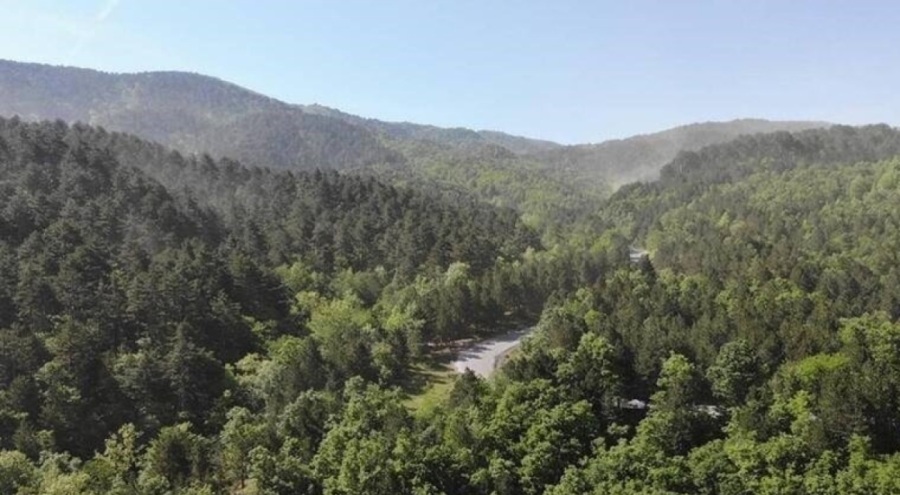 9 ilde bazı alanlar orman sınırları dışına çıkarıldı