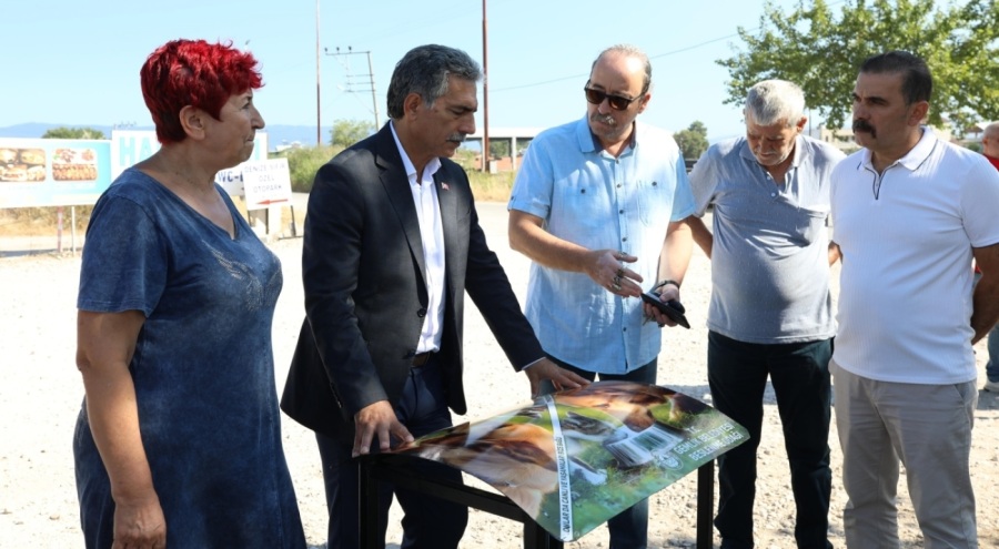 Gemlik Belediyesi'nden sokak hayvanları için seferberlik