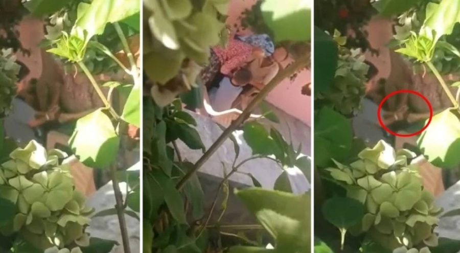 6 yaşındaki çocuğa işkence: Babaanne ve baba gözaltında