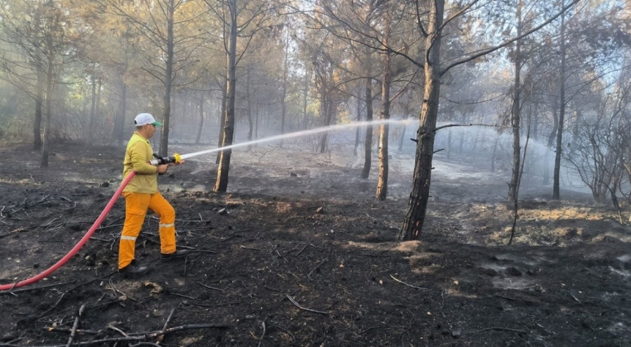 Hatay'da çıkan orman yangını, 15 saat sonra kontrol altına alındı