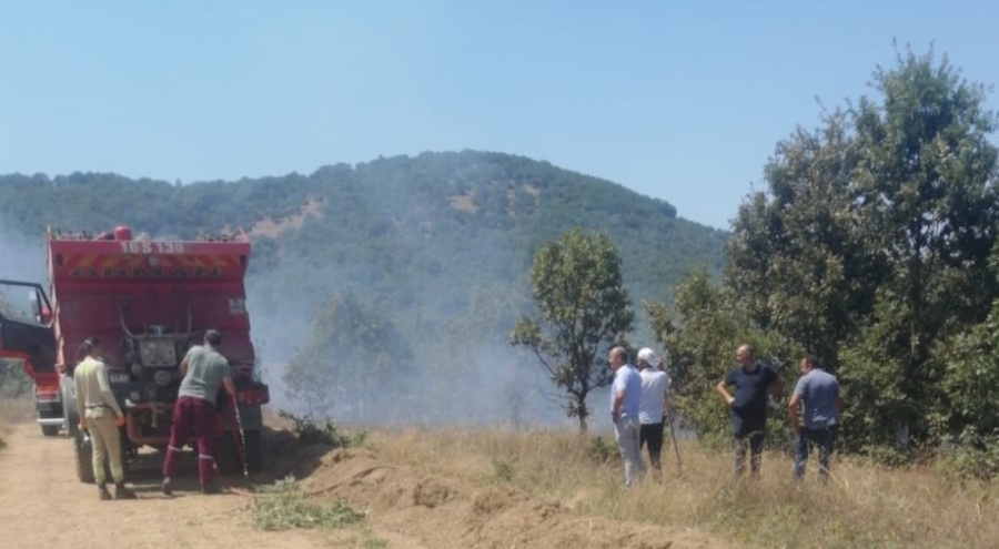 Bursa'da tarım arazisinde yangın!