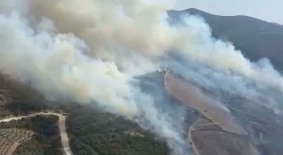 Manisa'da orman yangını! Müdahale devam ediyor