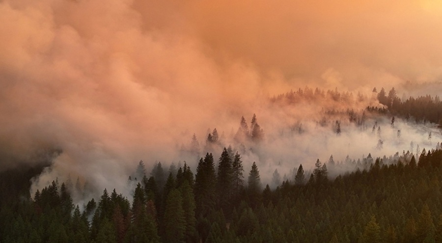 California'da 400 bin dönümden fazla alan kül oldu