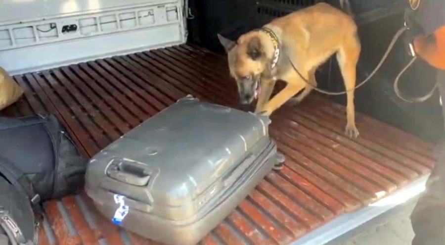 Gill, İlk Görevinde 2 Kilo Metamfetamin Buldu