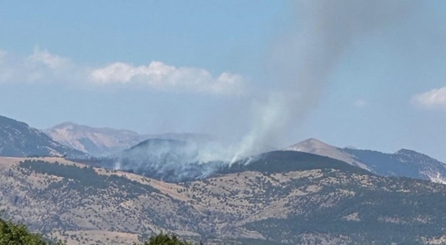 Tunceli ve Manisa'da orman yangını