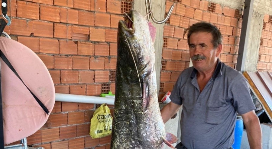 Bursa'da 87 kilogramlık balık yakalandı