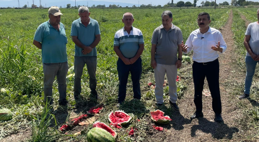 İYİ Parti Bursa Milletvekili Türkoğlu: "Üreticiyi devlet korumazsa kim koruyacak?