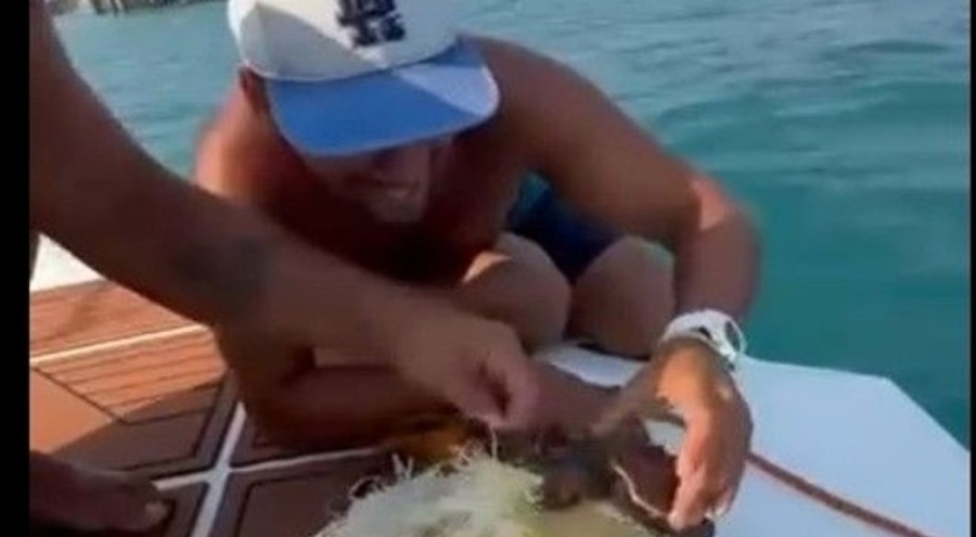 Çuvala dolanan caretta caretta yavrusu kurtarıldı