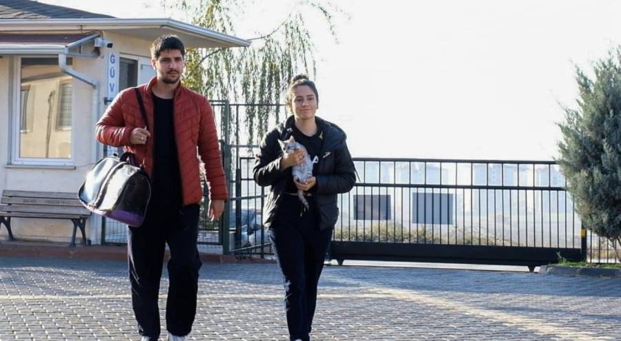 Bursa İnegöl'de 266 sokak hayvanı sahiplendirildi