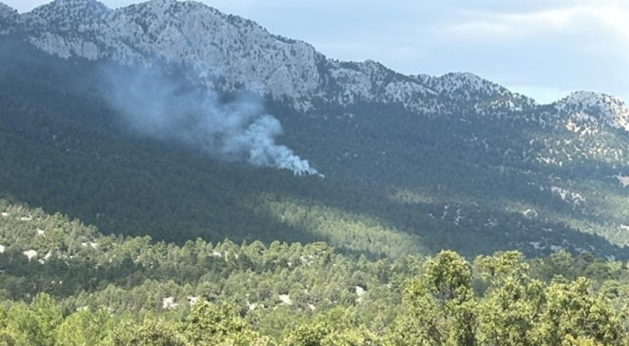 Antalya'da orman yangını