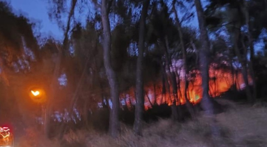 Heybeliada'da ormanlık alanda yangın