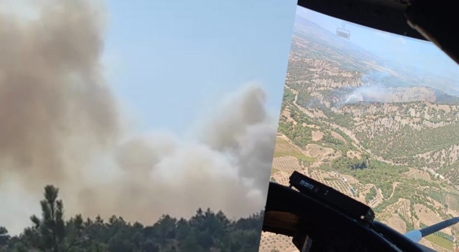 Manisa ve Yozgat'ta orman yangını