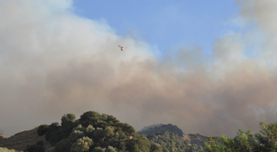 Manisa'da orman yangını