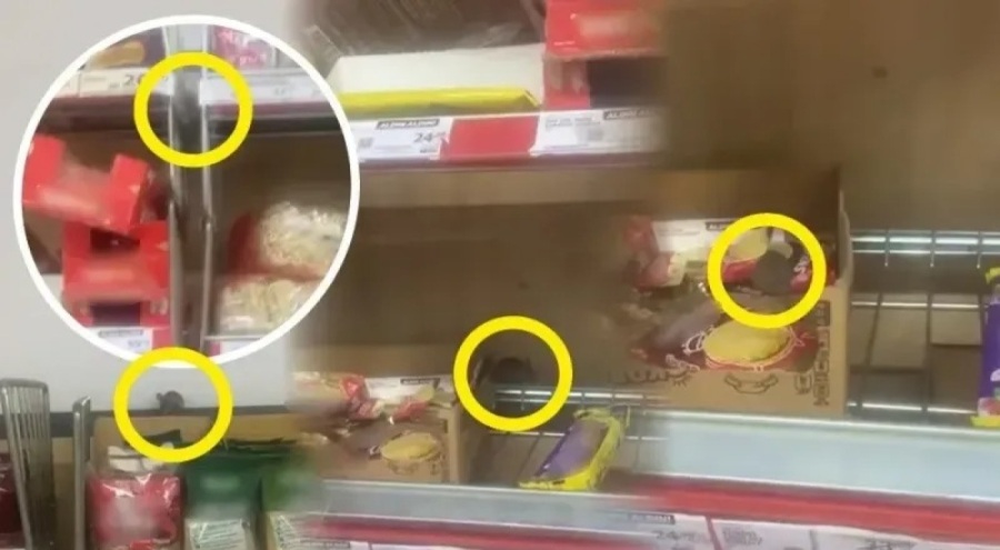 Raflarında farelerin gezdiği A101 şubesi mühürlendi