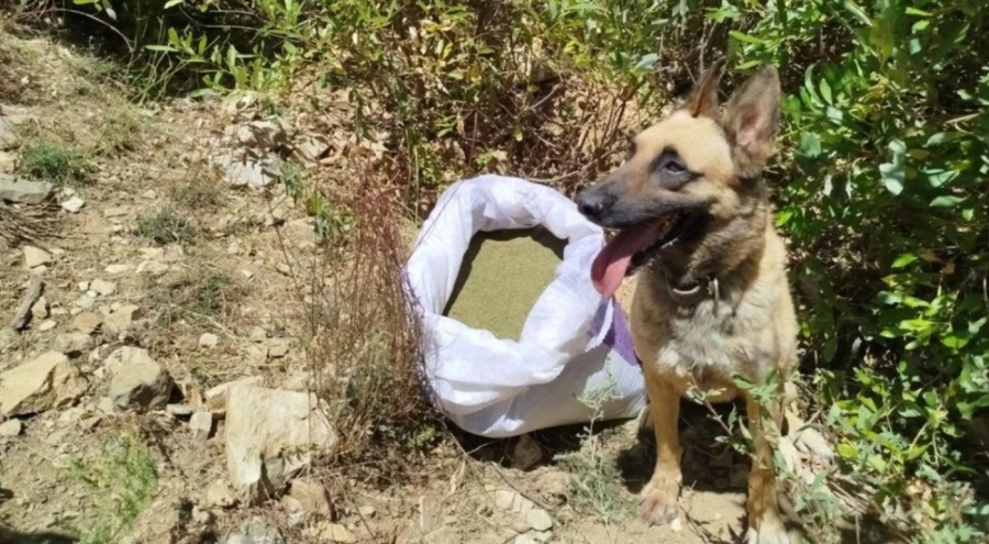 Bingöl'de 8 kiloya yakın uyuşturucu madde ele geçirildi