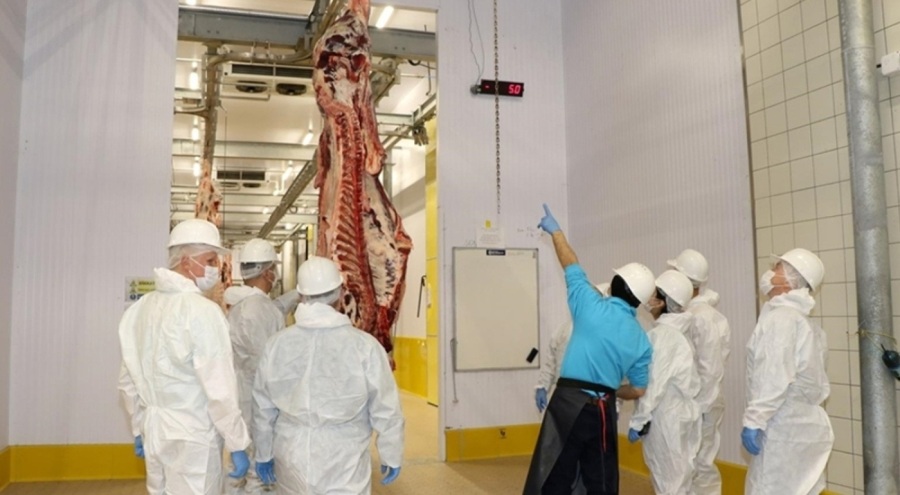 Kesimhanelerle ilgili yeni yönetmelik! Artık zorunlu olacak