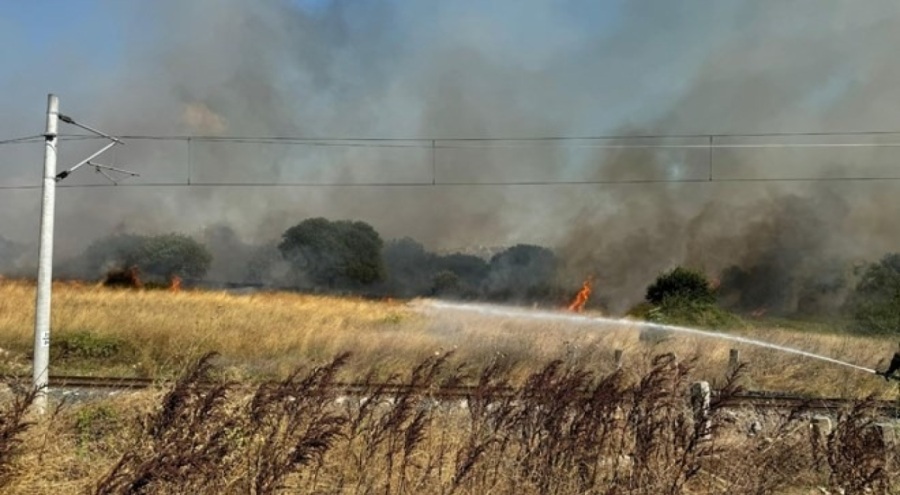 Otluk ve ağaçlık alanda yangın çıktı
