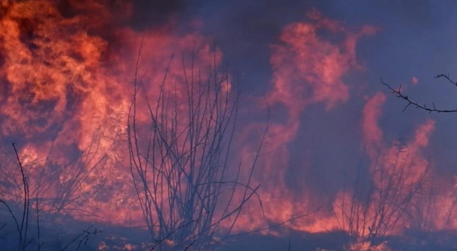 Alevler göğe yükseldi! Yangın 4 köyü etkiledi