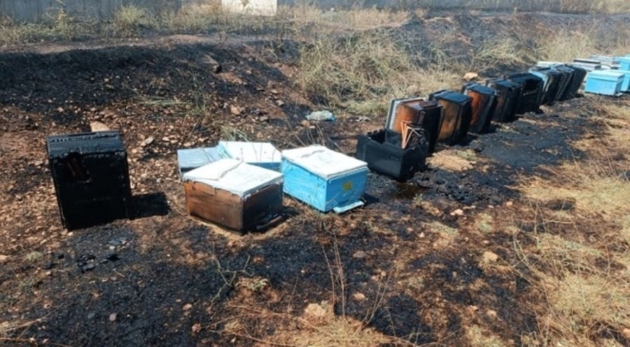 Otluk yangını! 45 arı kovanı yandı