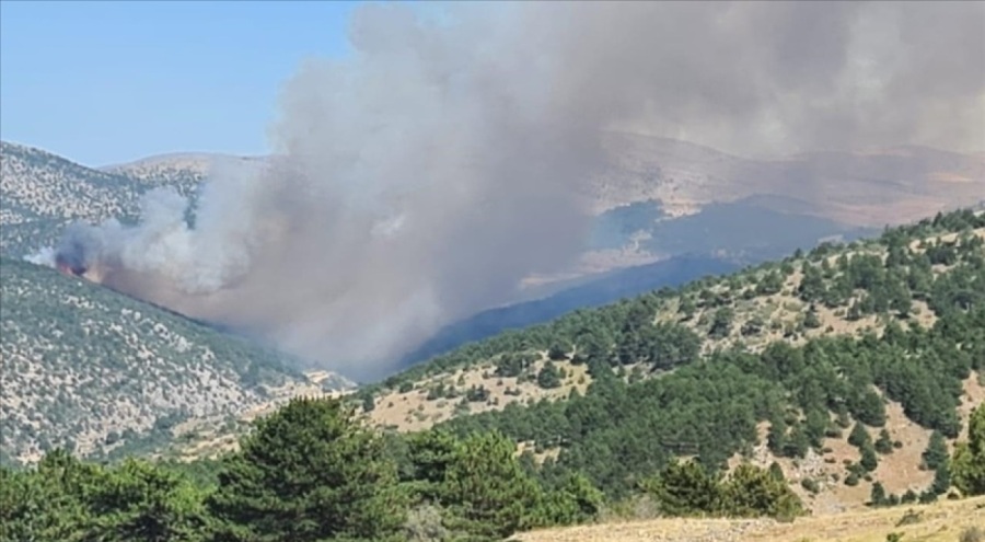 Konya'da ormanlık alanda yangın çıktı