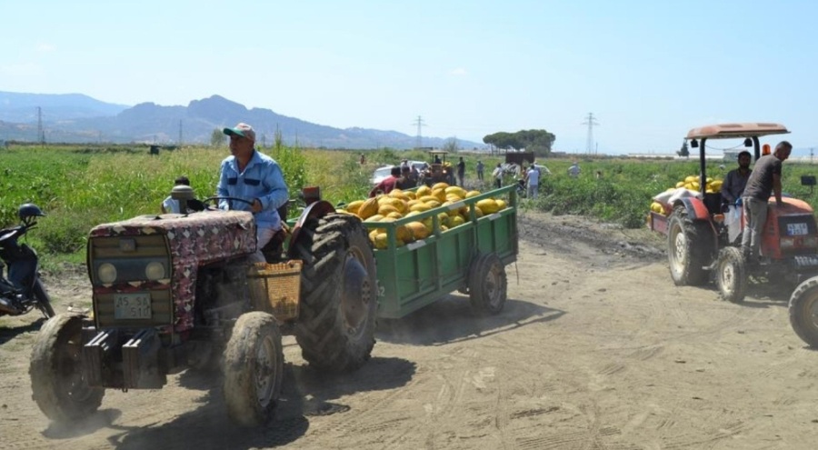 600 ton kavun-karpuzu parasız verdi!