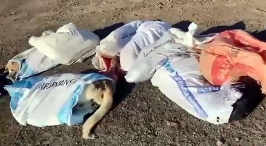 Çuvallar içinde ölü köpekler bulundu!