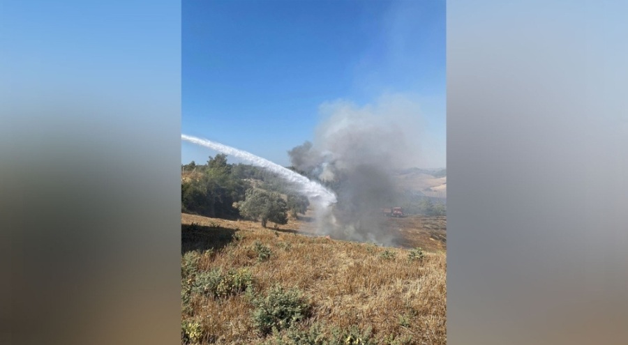 Anız yangını orman yangınına dönüştü