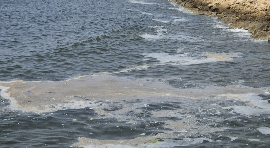 Serinlemek için girdiği denizde atılan balık ağının kurbanı oluyordu