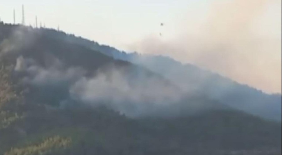 İzmir'deki orman yangınına müdahale sürüyor