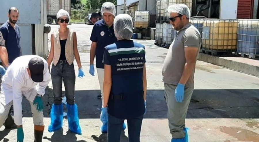 Bolu'da çevreyi kirleten firmaya üçüncü kez ceza kesildi