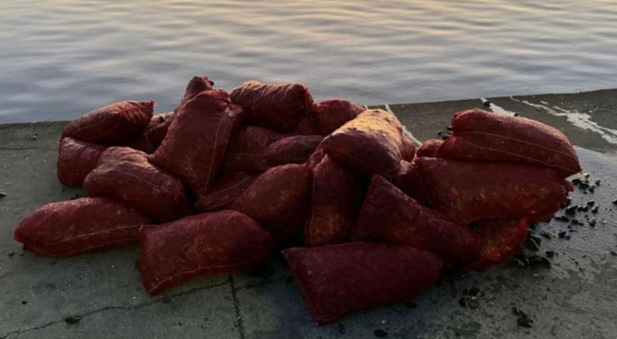 Yasaklı bölgede 1 ton kaçak midye ele geçirildi