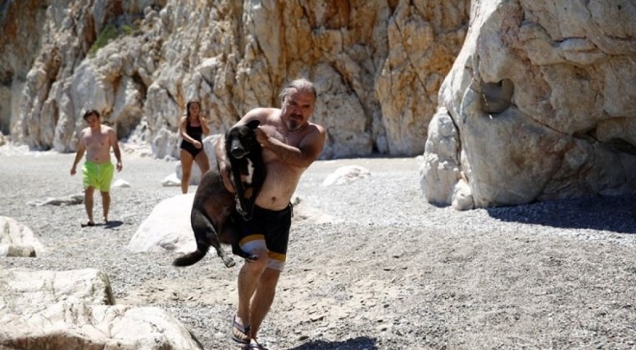 Mağaraya terk edilen köpek ekiplerce kurtarıldı