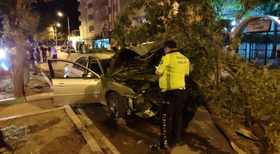 Bursa'da direksiyon hakimiyetini kaybetti, ağaca çarptı! Yaralılar var