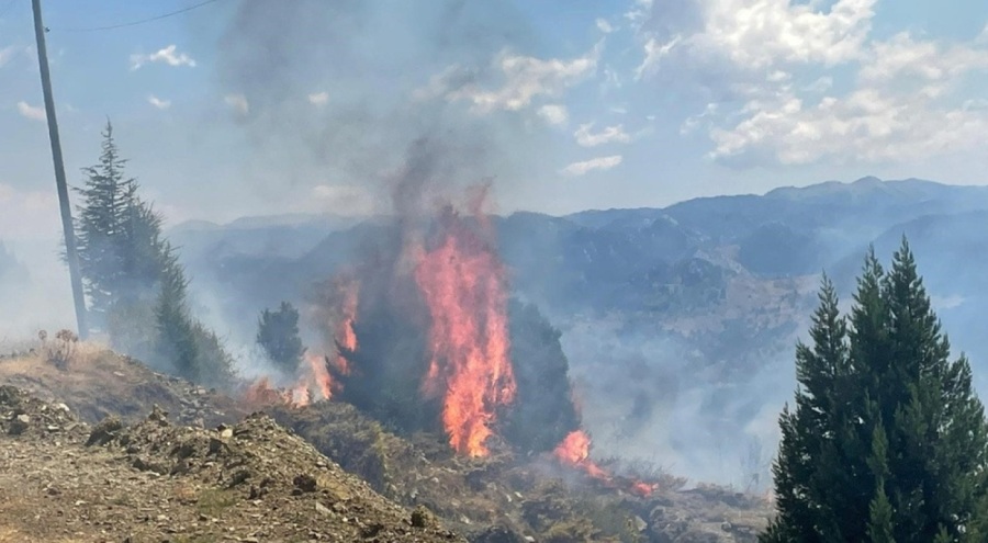 Antalya'da makilik alanda yangın