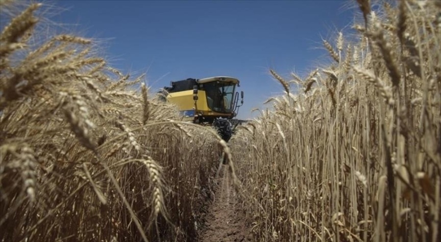Tarım ÜFE temmuzda aylık bazda yüzde 1,74 azaldı
