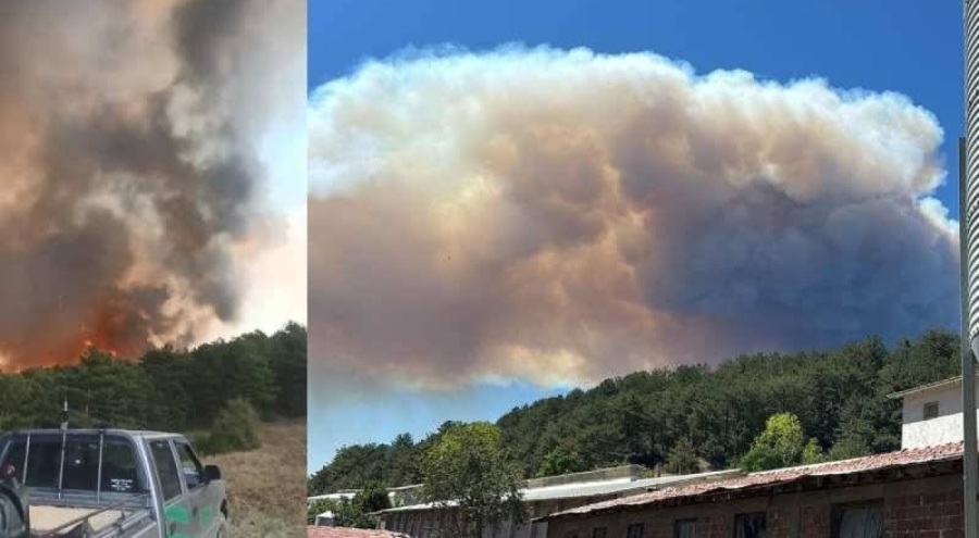 Bolu'da orman yangını meydana geldi