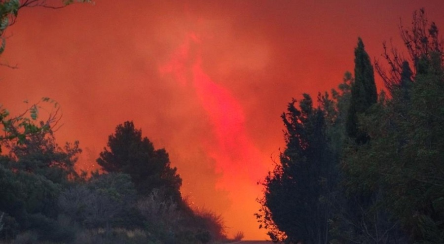 Çanakkale'deki orman yangın!