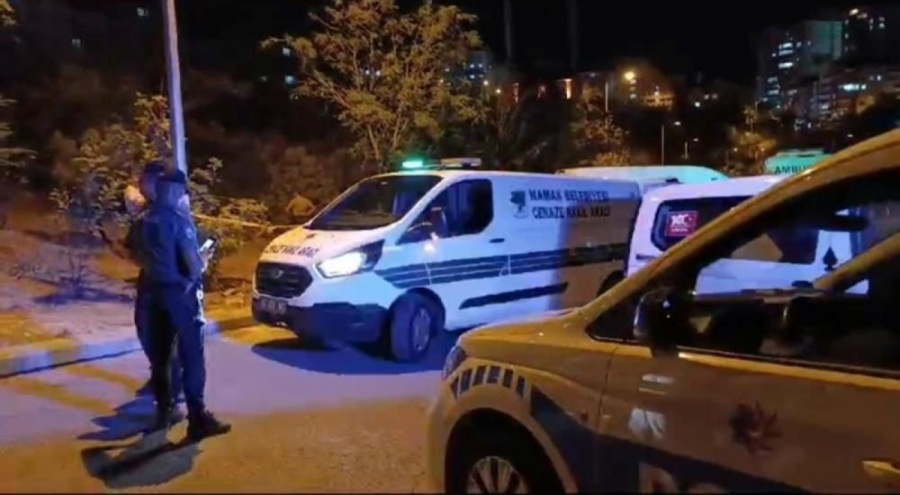 Bir gecede 3 kadın cinayeti