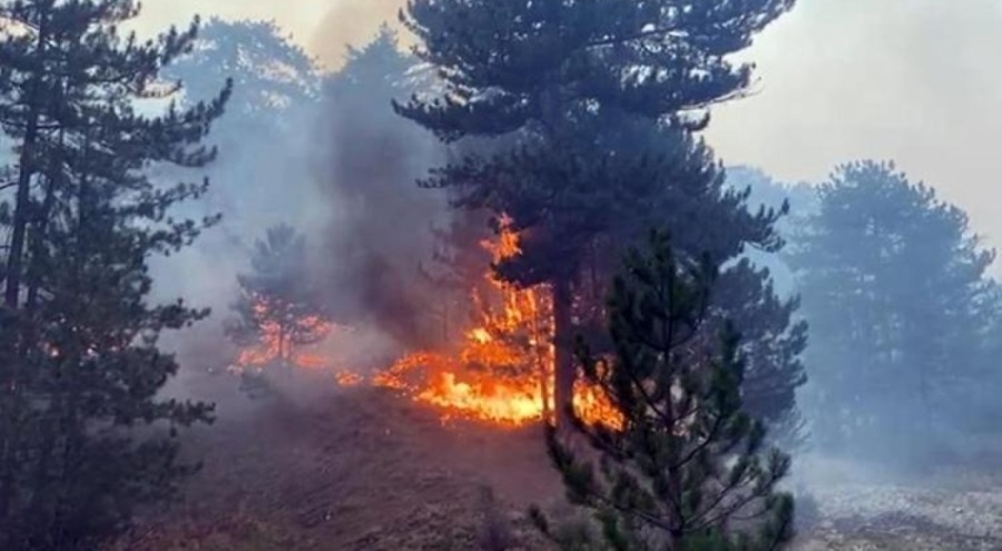 Bakan Yumaklı'dan açıklama: Önümüzdeki 3 gün yangınlar için riskli