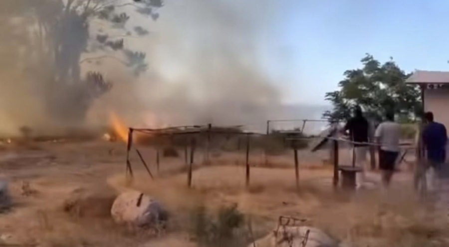 Bursa'da ormanlık alanda korkutan yangın!