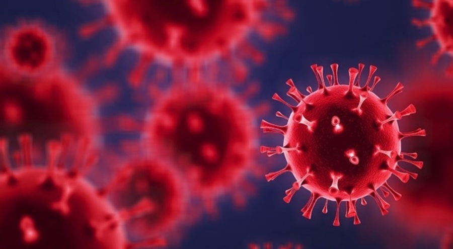 DSÖ duyurdu: Maymun çiçeği virüsü eskisinden daha hızlı yayılıyor ve yüksek ölüm oranına sahip