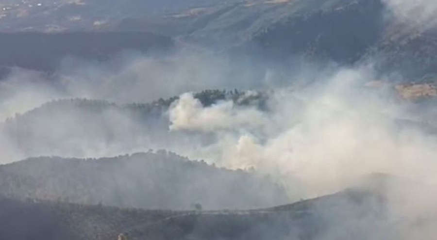 Manisa'daki orman yangınında 4'üncü gün: Bir mahalle kül oldu