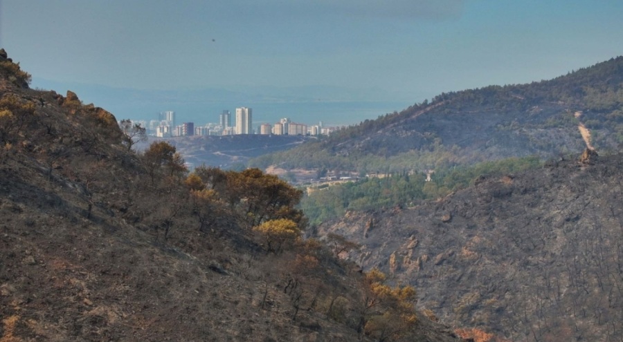 Felaketi yaşayan İzmir'den kahreden görüntüler!
