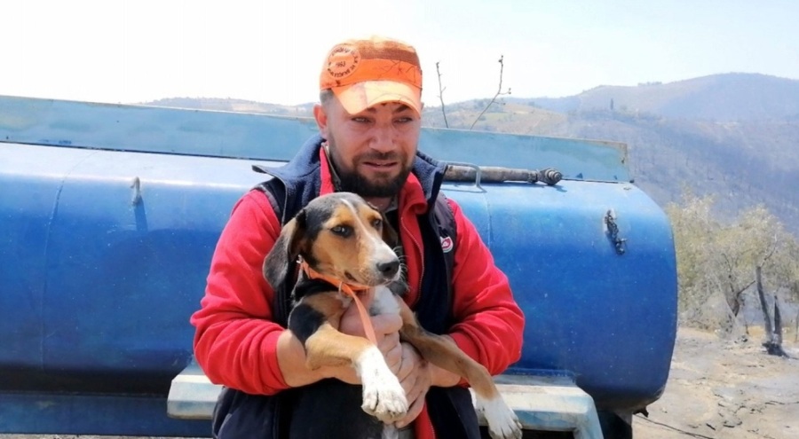 Manisa'daki orman yangınından sağ çıkan köpeğine sarılarak gözyaşı döktü